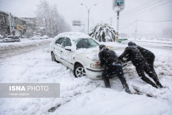 گزارش تصویری | بارش سنگین برف در شهرستان سوادکوه - مازندران