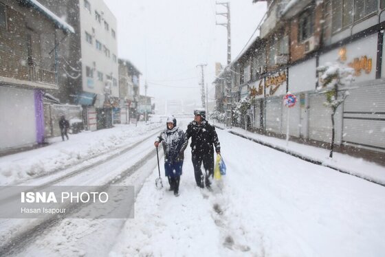 گزارش تصویری | بارش سنگین برف در شهرستان سوادکوه - مازندران