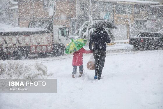 گزارش تصویری | بارش سنگین برف در شهرستان سوادکوه - مازندران