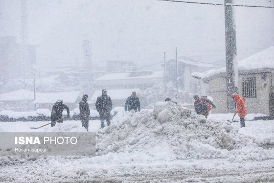 گزارش تصویری | بارش سنگین برف در شهرستان سوادکوه - مازندران