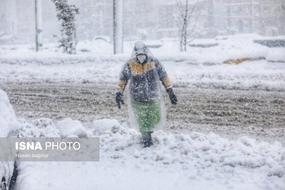 گزارش تصویری | بارش سنگین برف در شهرستان سوادکوه - مازندران