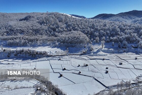 گزارش تصویری | برف در شهر زیراب سوادکوه پایتخت جنگل‌های هیرکانی