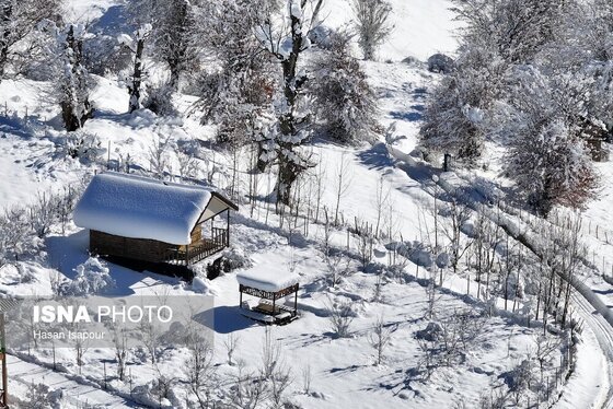 گزارش تصویری | برف در شهر زیراب سوادکوه پایتخت جنگل‌های هیرکانی