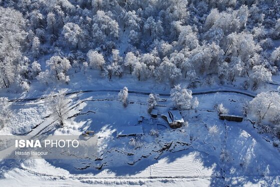 گزارش تصویری | برف در شهر زیراب سوادکوه پایتخت جنگل‌های هیرکانی