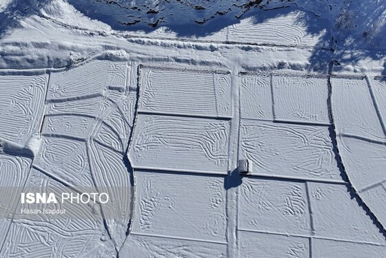 گزارش تصویری | برف در شهر زیراب سوادکوه پایتخت جنگل‌های هیرکانی