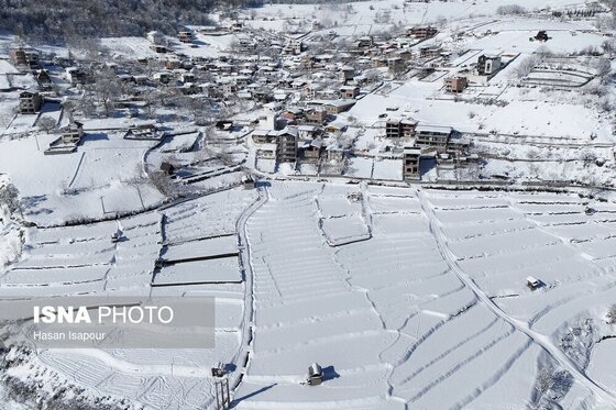 گزارش تصویری | برف در شهر زیراب سوادکوه پایتخت جنگل‌های هیرکانی