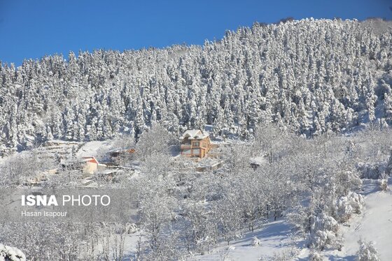 گزارش تصویری | برف در شهر زیراب سوادکوه پایتخت جنگل‌های هیرکانی