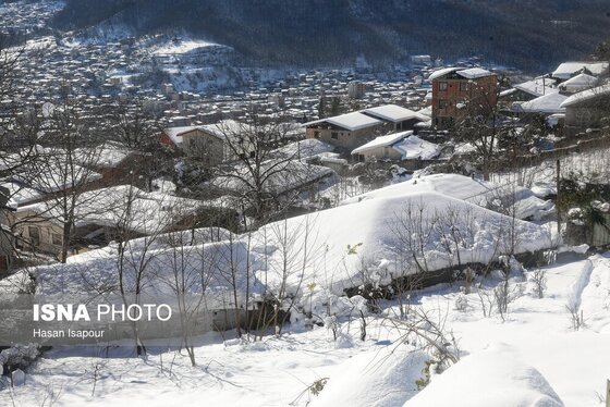 گزارش تصویری | برف در شهر زیراب سوادکوه پایتخت جنگل‌های هیرکانی