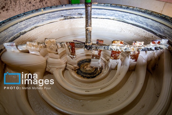 گزارش تصویری | برداشت نیشکر از زمین های استان مازندران