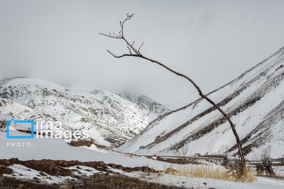 گزارش تصویری | سایه سفید