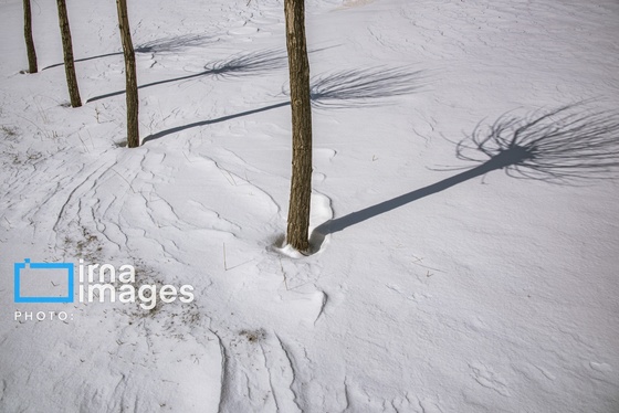 گزارش تصویری | سایه سفید