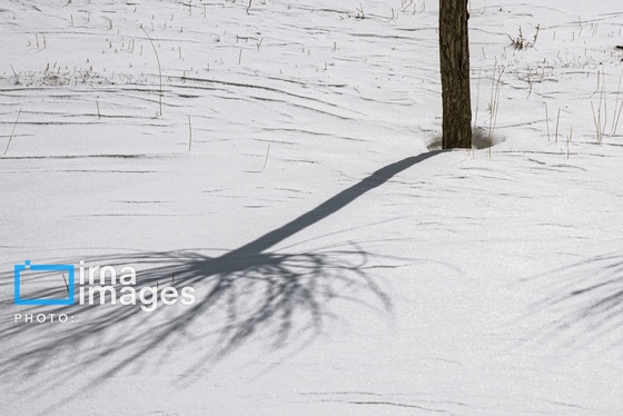 گزارش تصویری | سایه سفید