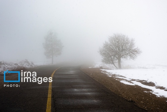 گزارش تصویری | سایه سفید