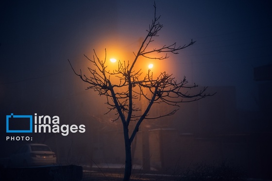 گزارش تصویری | سایه سفید