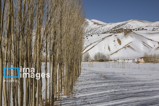 گزارش تصویری | سایه سفید