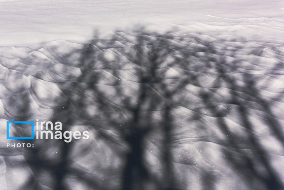 گزارش تصویری | سایه سفید