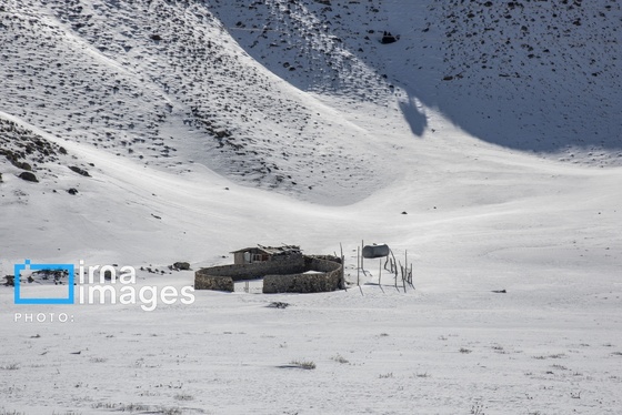 گزارش تصویری | سایه سفید