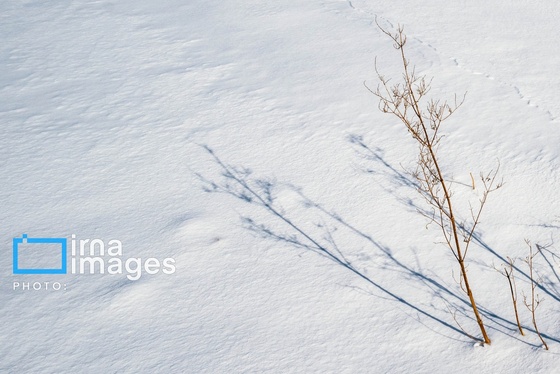 گزارش تصویری | سایه سفید