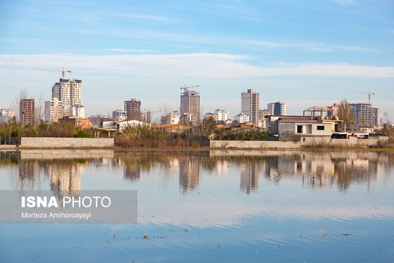 گزارش تصویری | وقتی تالاب‌ می‌میرد...