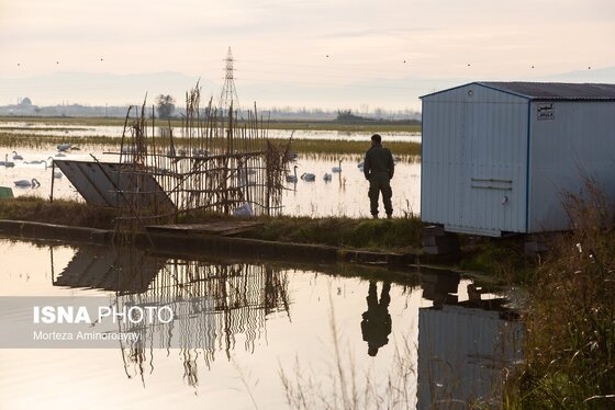 گزارش تصویری | وقتی تالاب‌ می‌میرد...