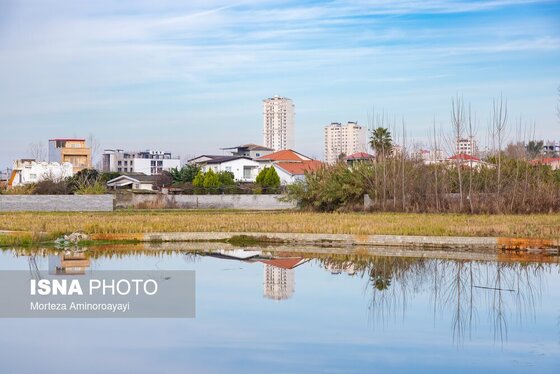 گزارش تصویری | وقتی تالاب‌ می‌میرد...