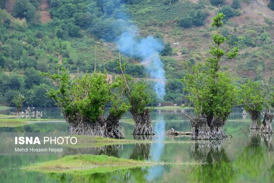 گزارش تصویری | وقتی تالاب‌ می‌میرد...
