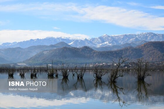 گزارش تصویری | وقتی تالاب‌ می‌میرد...