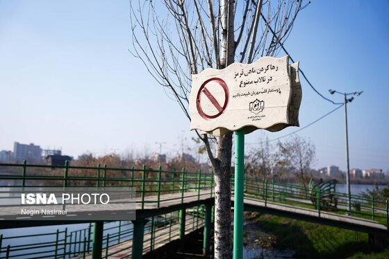 گزارش تصویری | وقتی تالاب‌ می‌میرد...