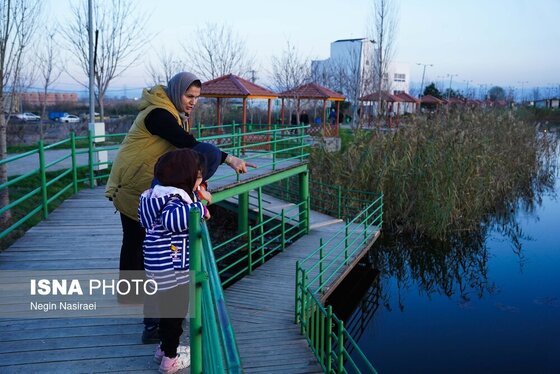 گزارش تصویری | وقتی تالاب‌ می‌میرد...