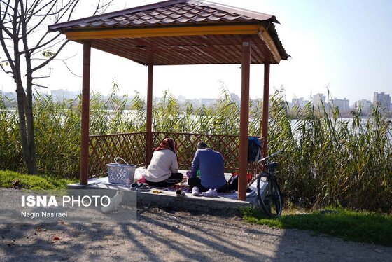گزارش تصویری | وقتی تالاب‌ می‌میرد...