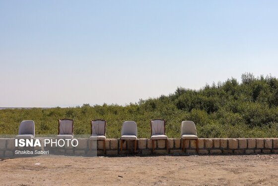 گزارش تصویری | وقتی تالاب‌ می‌میرد...