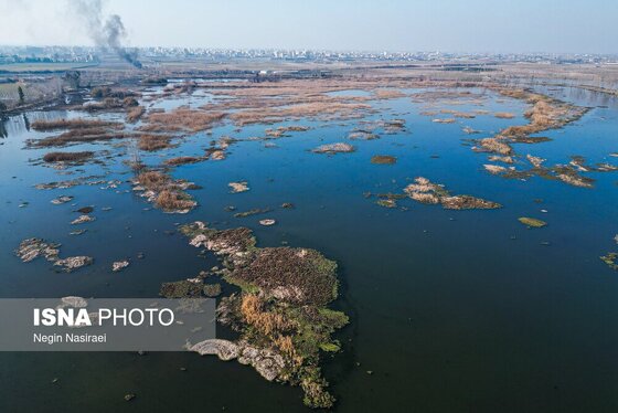 گزارش تصویری | وقتی تالاب‌ می‌میرد...