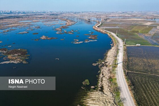 گزارش تصویری | وقتی تالاب‌ می‌میرد...