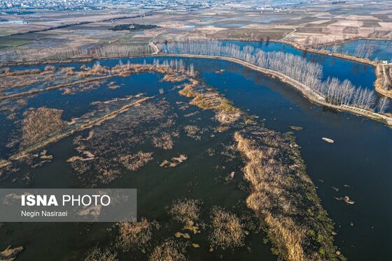 گزارش تصویری | وقتی تالاب‌ می‌میرد...
