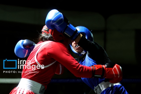 گزارش تصویری | مسابقات بوکس دختران