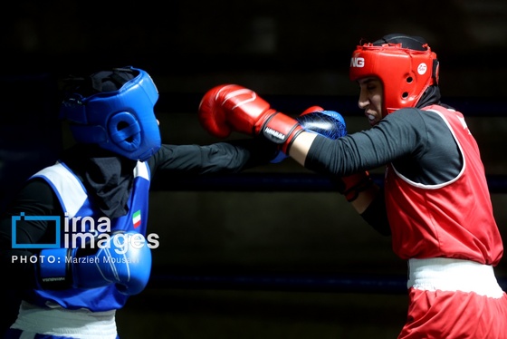 گزارش تصویری | مسابقات بوکس دختران
