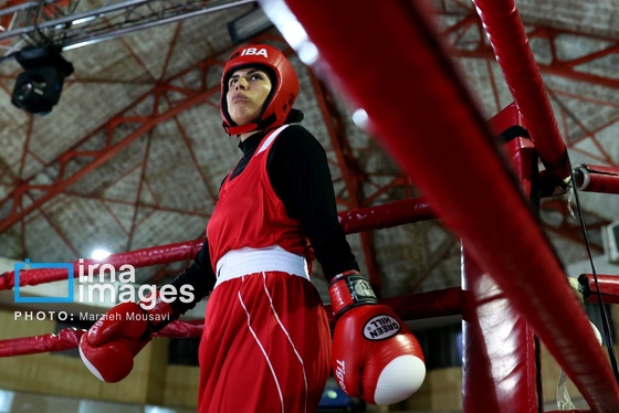 گزارش تصویری | مسابقات بوکس دختران