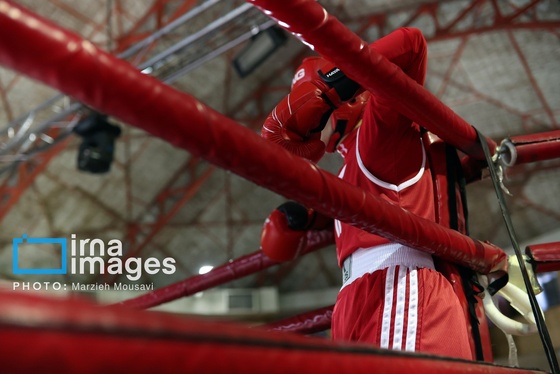 گزارش تصویری | مسابقات بوکس دختران