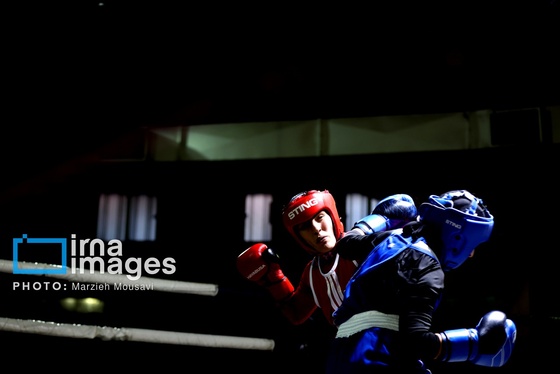 گزارش تصویری | مسابقات بوکس دختران