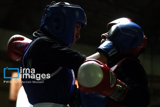 گزارش تصویری | مسابقات بوکس دختران