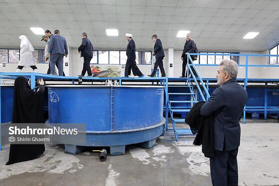 گزارش تصویری | بهره برداری از واحد بزرگ پرورش ماهی در شاندیز