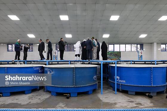گزارش تصویری | بهره برداری از واحد بزرگ پرورش ماهی در شاندیز