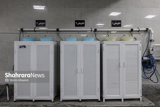 گزارش تصویری | بهره برداری از واحد بزرگ پرورش ماهی در شاندیز