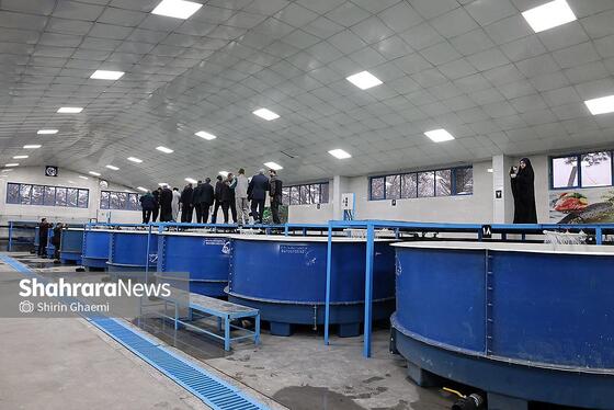 گزارش تصویری | بهره برداری از واحد بزرگ پرورش ماهی در شاندیز