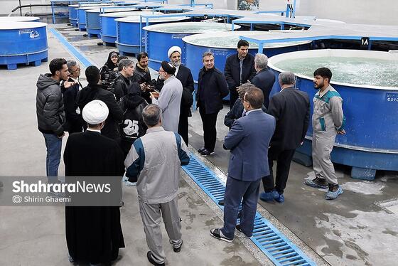 گزارش تصویری | بهره برداری از واحد بزرگ پرورش ماهی در شاندیز