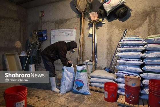 گزارش تصویری | بهره برداری از واحد بزرگ پرورش ماهی در شاندیز