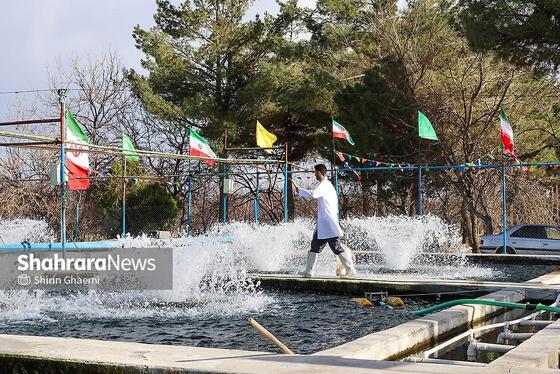 گزارش تصویری | بهره برداری از واحد بزرگ پرورش ماهی در شاندیز