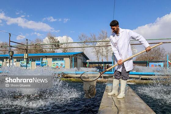 گزارش تصویری | بهره برداری از واحد بزرگ پرورش ماهی در شاندیز