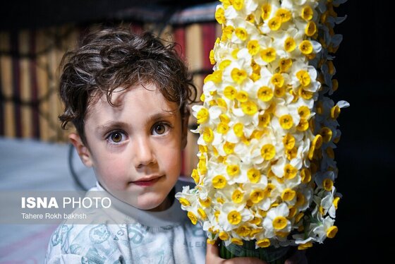 گزارش تصویری | هشتمین جشنواره گل نرگس - کازرون