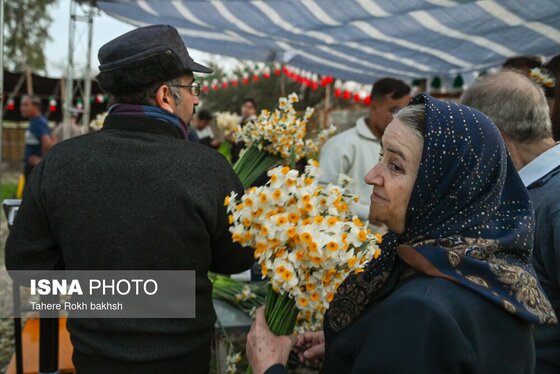 گزارش تصویری | هشتمین جشنواره گل نرگس - کازرون